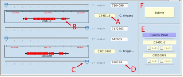 NemaFootPrinter: a web based software for the identification of conserved non-coding genome sequence regions between C. elegans and C. briggsae